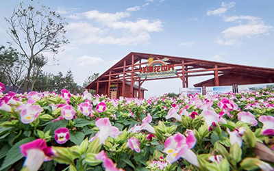 海洋之神·hy590(中国)最新官方网站