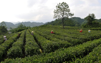 海洋之神·hy590(中国)最新官方网站