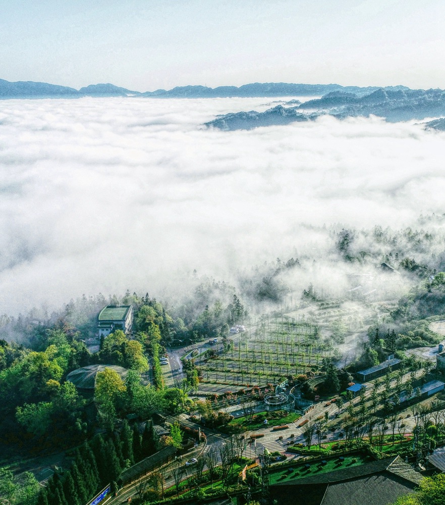 海洋之神·hy590(中国)最新官方网站